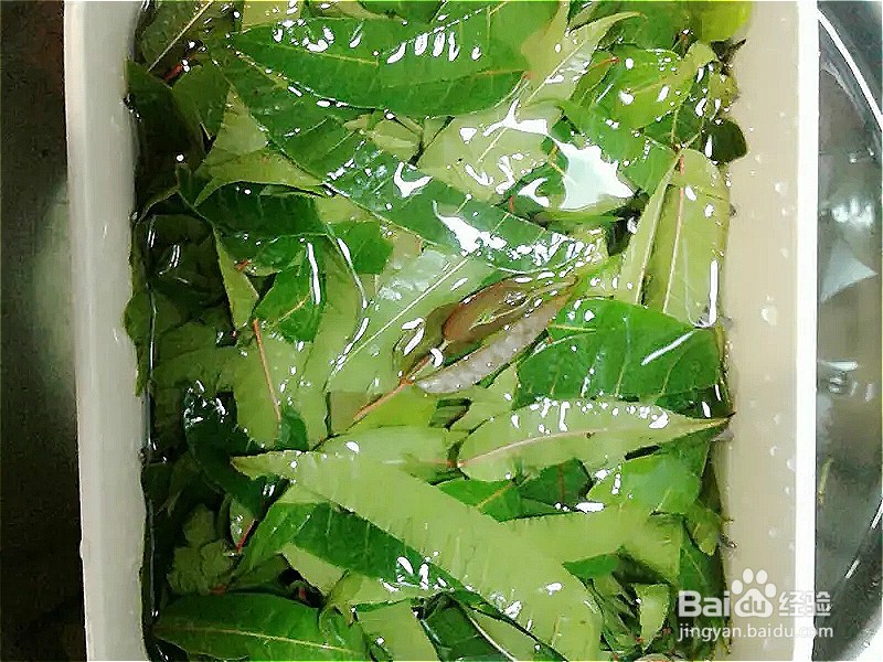 怎样做出家常菜系列之香椿酱