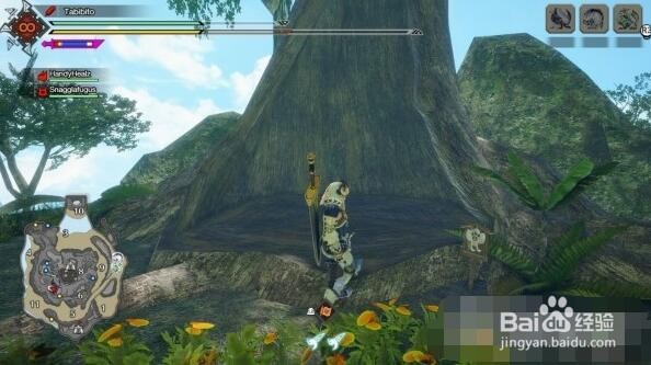 怪物猎人崛起曙光密林随从侦察队位置