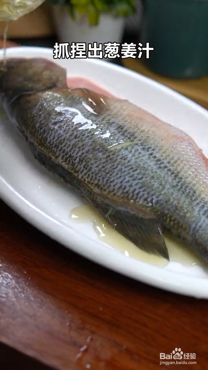 如何制作清蒸鲈鱼？