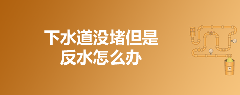 下水道没堵但是反水怎么办