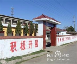 农村养老保险怎么交