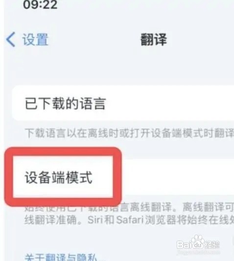 苹果手机如何打开翻译的设备端模式?