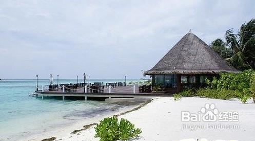 分享马尔代夫白金岛旅游餐食攻略