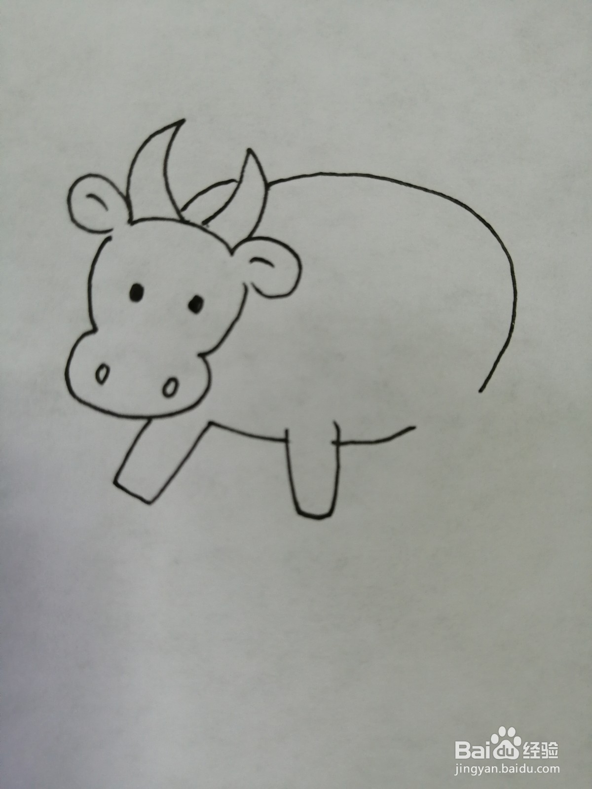 可爱的小牛怎么画