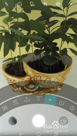 想要手机拍照更专业？试试荣耀7的专业相机吧