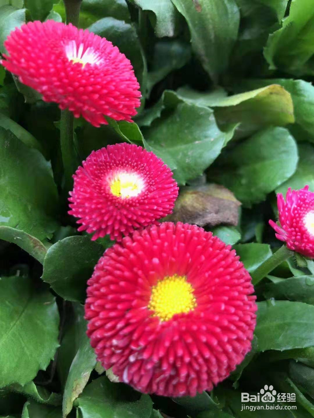 说出这三句话，情侣之间将永远不可能再复合？