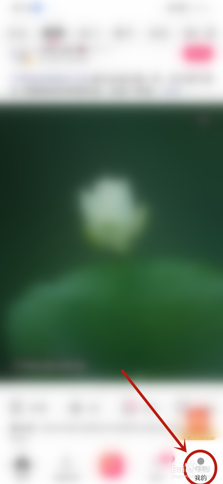 图虫圈子作品在哪里查看？