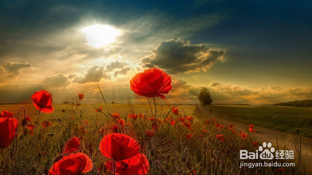 如何做好上课的完整笔记