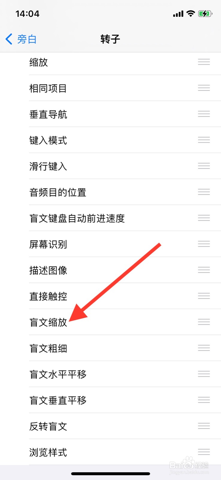 iPhone怎样增加旁白转子“盲文缩放”指令