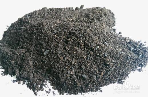 蟹爪莲开花时怎样护理