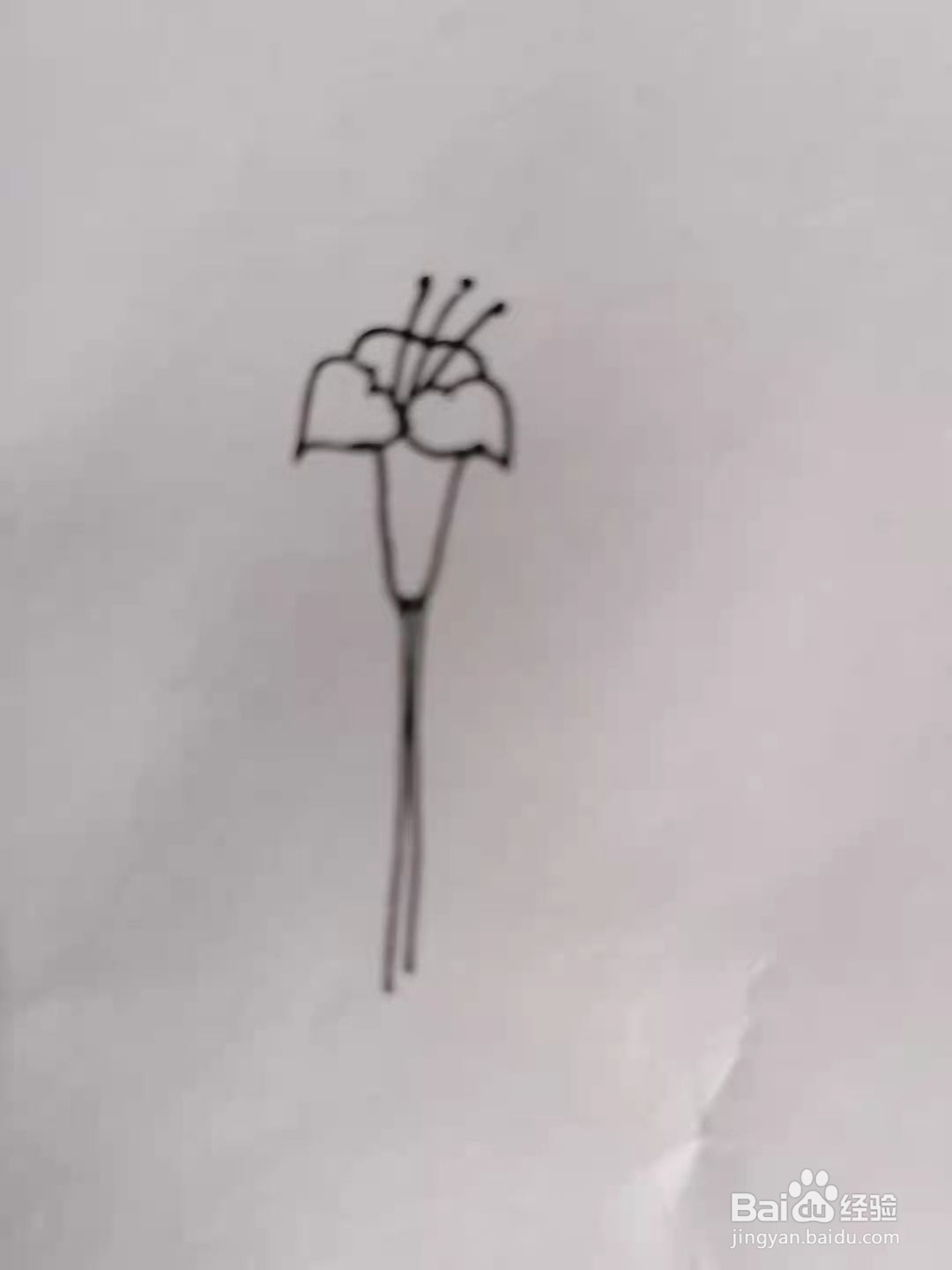 怎么画一朵百合花?#校园分享#