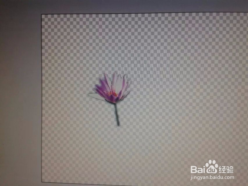 怎样在ps中用钢笔抠图