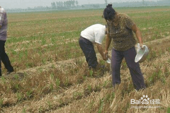 解决耕地土壤存在问题的措施