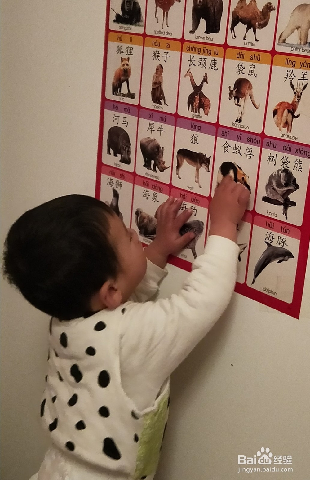 怎样让孩子更早地听懂话