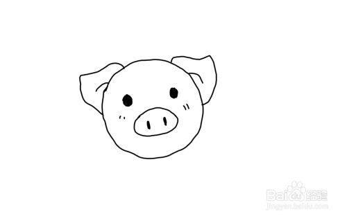 怎么画彩色简笔画动物小猪