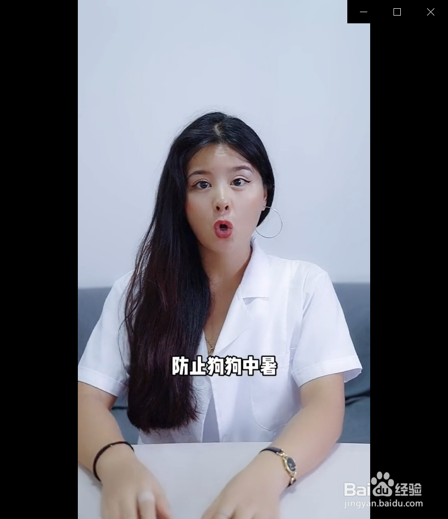 夏天养狗有哪些误区？