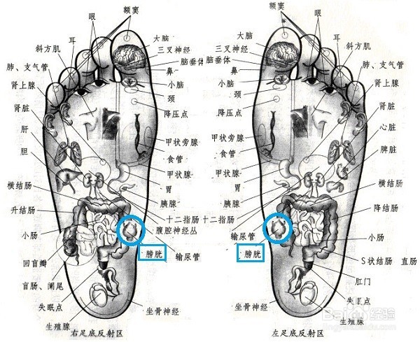 通过按摩调理便秘