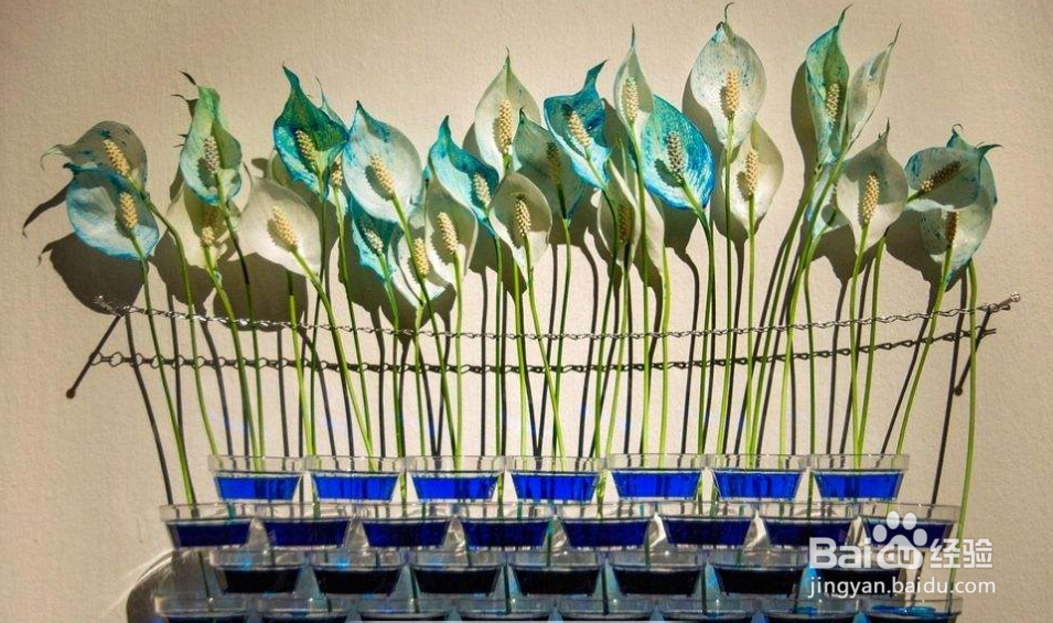 今日头条号发视频重复,不推荐怎么办呢?