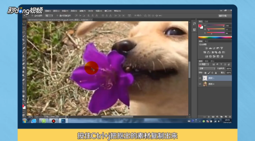 如何使用PS抠图