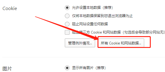 WIN版QQ浏览器如何查看所有Cookie和网站数据？
