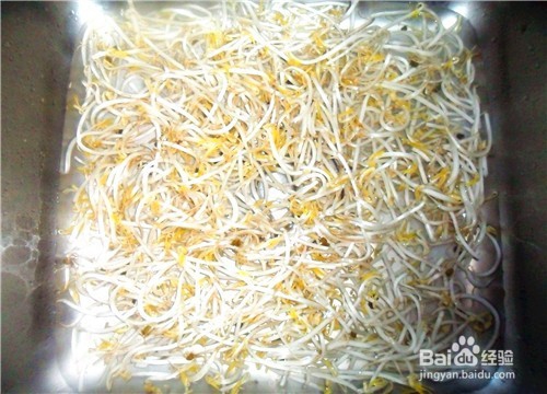 怎样快炒绿豆芽