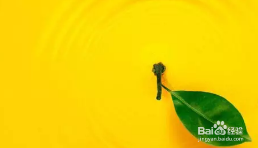 2019时尚颜色搭配的趋势，最新时尚颜色搭配必看