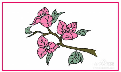 三角梅夏天怎样画