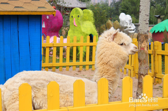 司徒小镇 2日游怎么安排