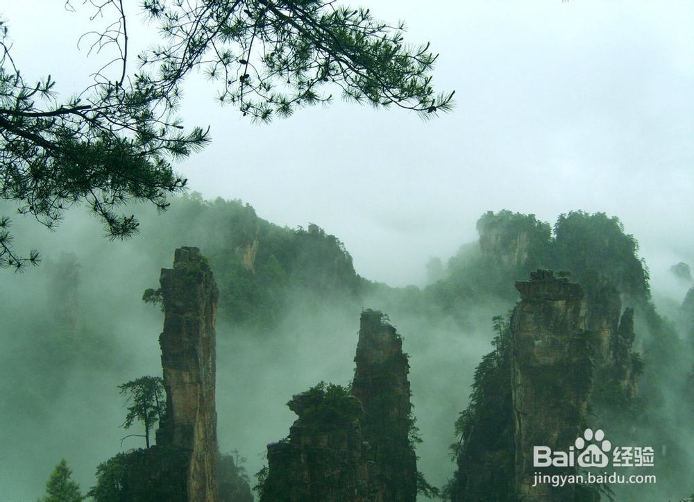 张家界稻草人汽车旅馆攻略《含注意事项门票》