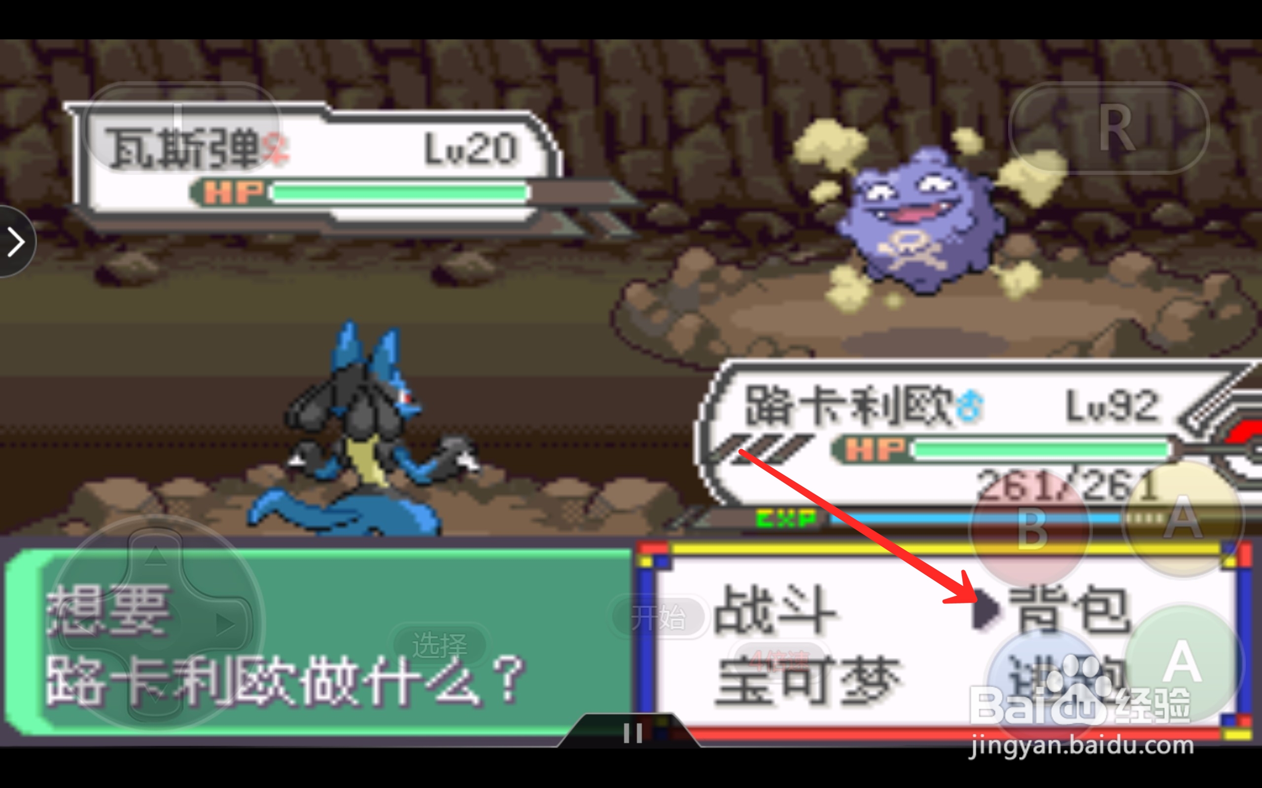 口袋妖怪瓦斯弹在哪抓