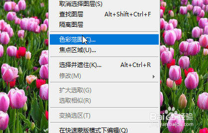 Photoshop如何改变玫瑰花的颜色