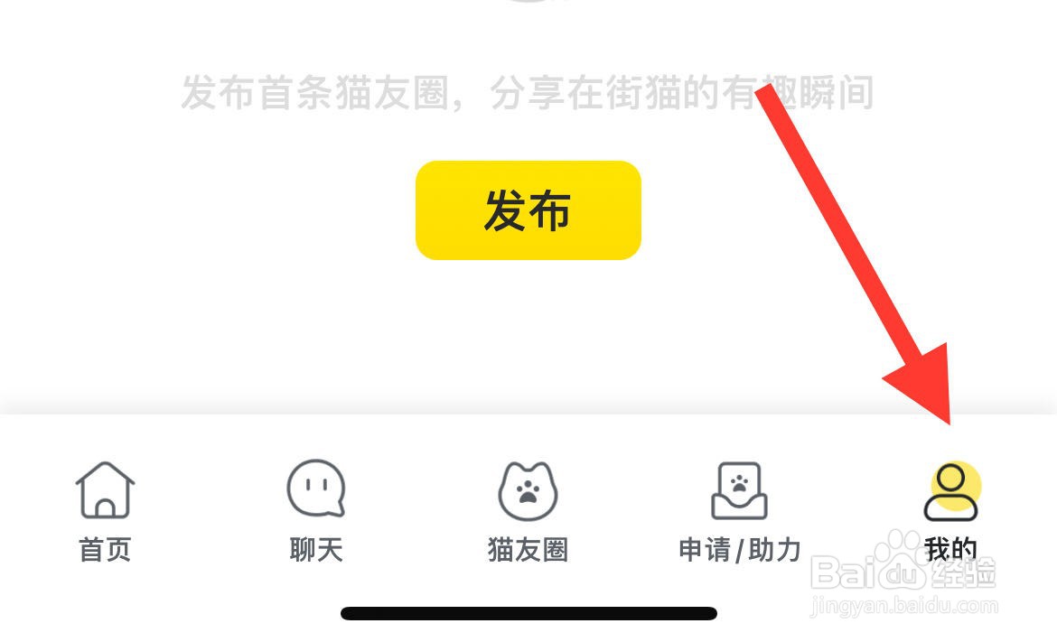 街猫如何设置系统权限管理