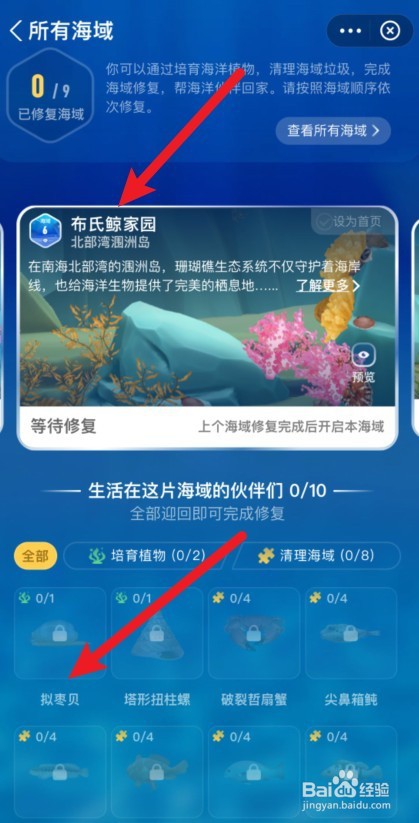 神奇海洋拟枣贝怎么获得
