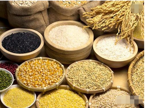 粗粮都包括些什么呢