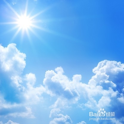 富贵竹怎么料理