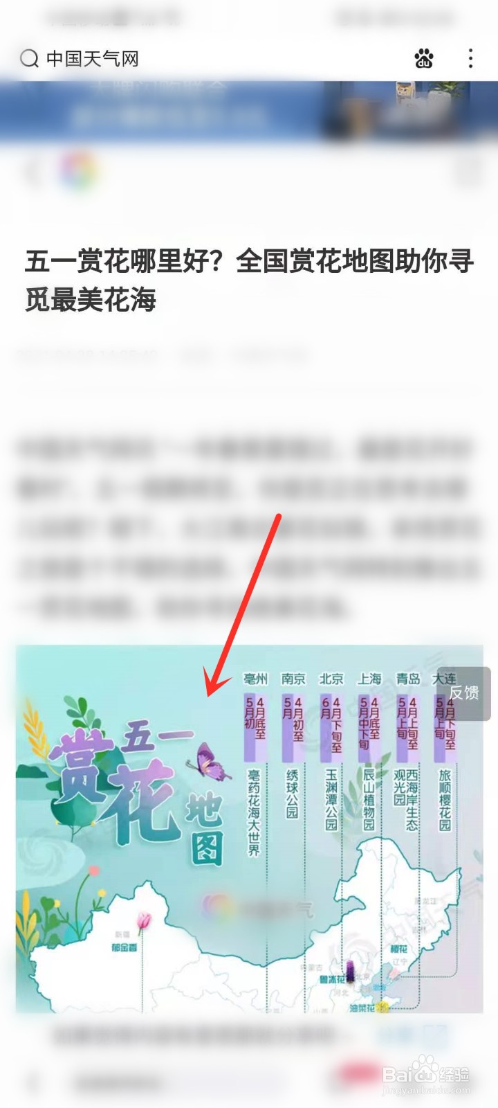五一全国赏花地图在哪看