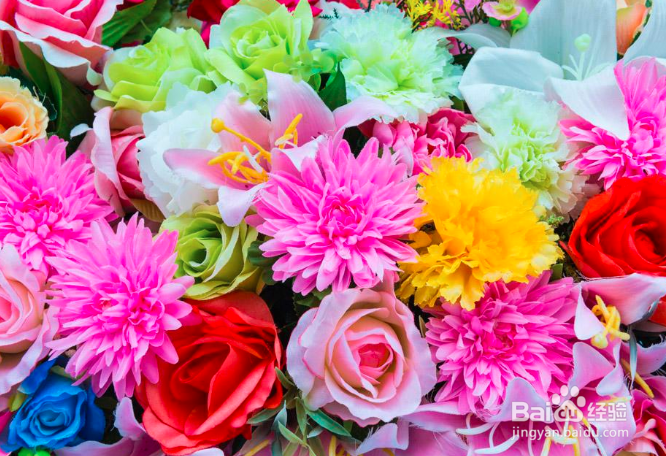 5.20送女朋友什么礼物