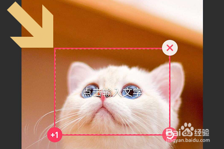 手机版美图秀秀如何给图片添加水印？