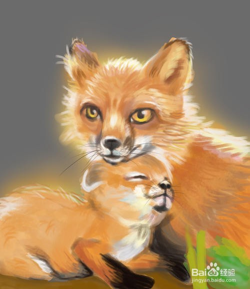 狐狸肉如何去除骚味