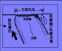 24孔口琴啊新式单音吹法