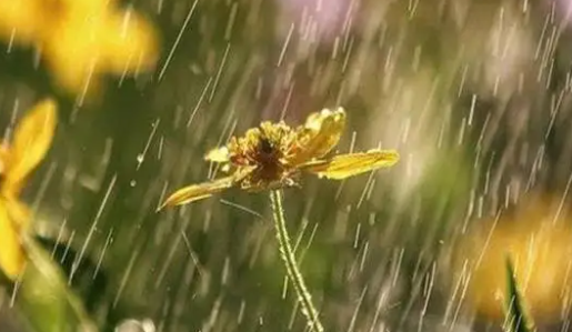 春分下雨意味着什么