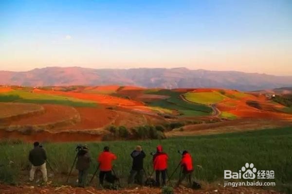 老司机带路,到东川红土地那些犄角旮旯的拍摄点