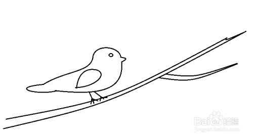 怎么画树枝上的小鸟