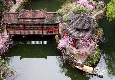 你心目中的重庆是什么样子的？