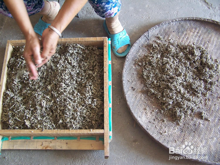 手工制作蕲艾绒和蕲艾条全过程(详细教程)