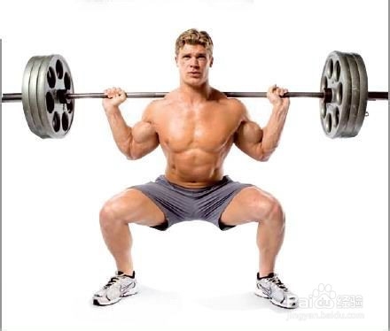 增长肌肉力量的因数