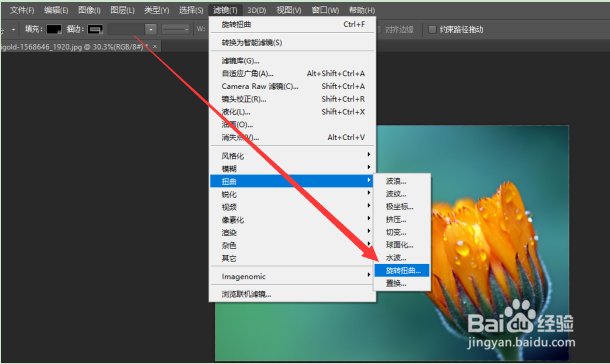 PS将图片进行旋转扭曲