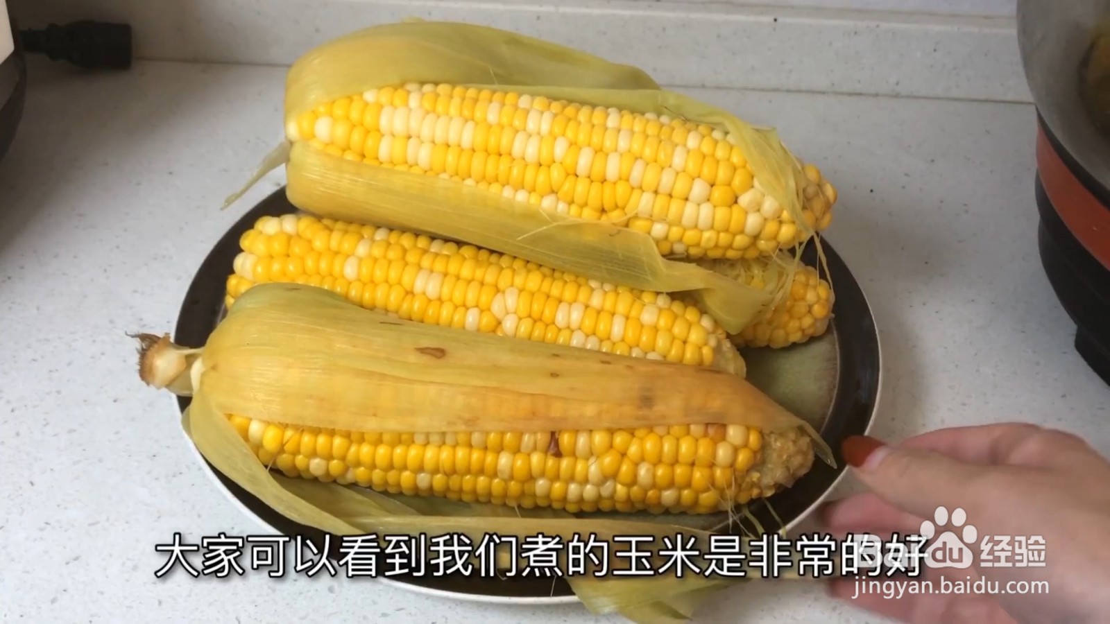 教你一招煮玉米,煮好的玉米又香又糯