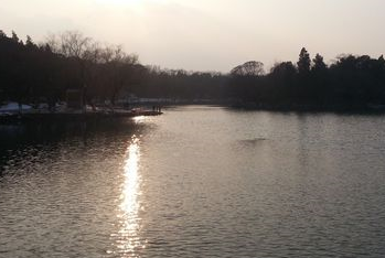 北京市入职体检流程