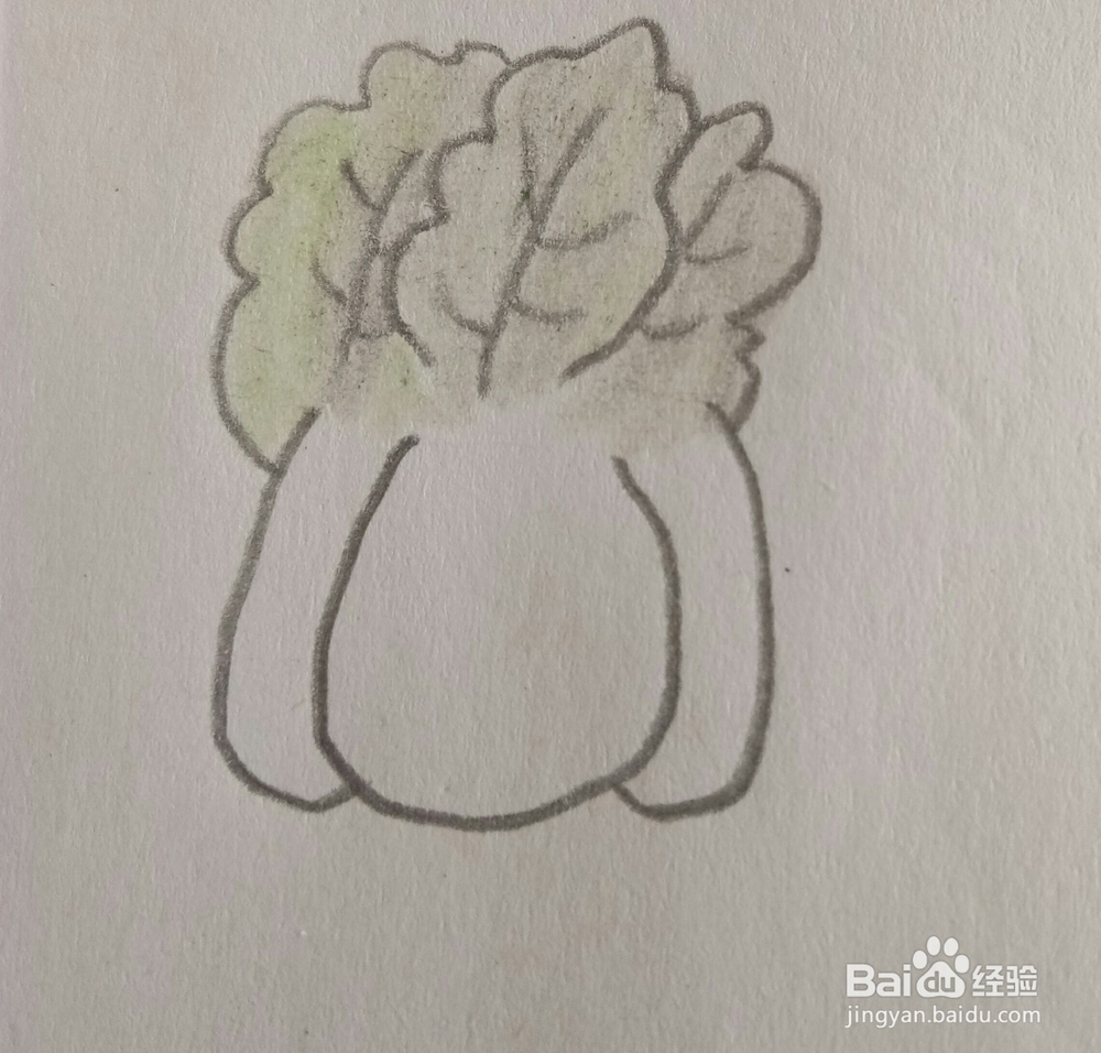 儿童简笔画白菜画法二